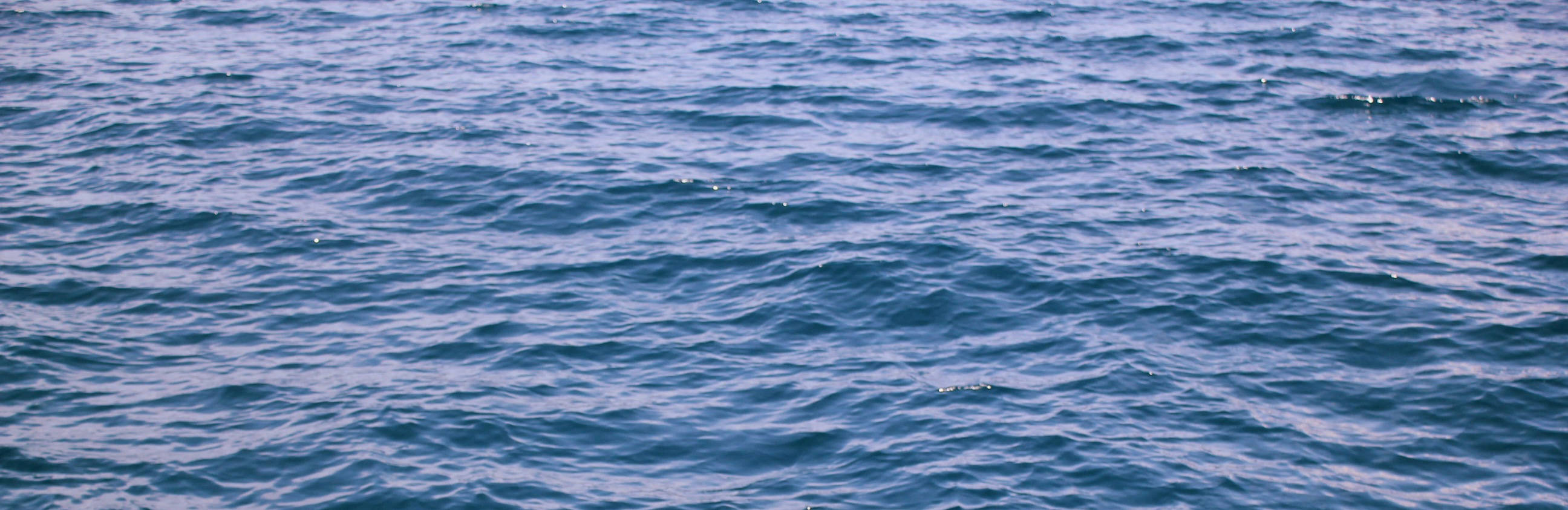 Unsplashed background img 3